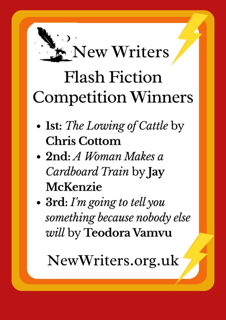 New Writers Flash Fiction Competition 2026 Winners