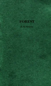 FOREST by JLM Morton