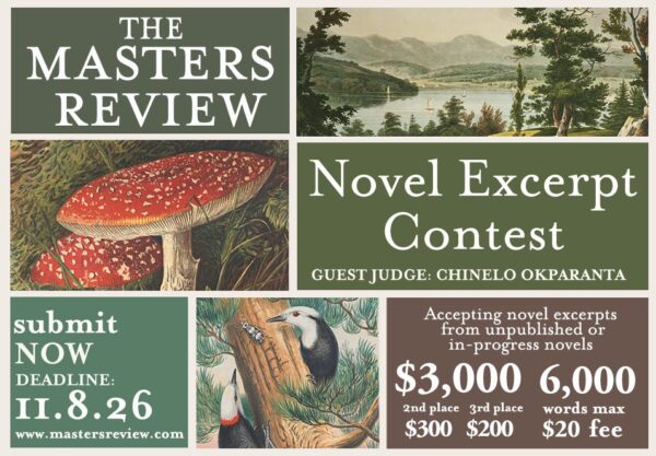 The Masters Review Novel Excerpt Contest